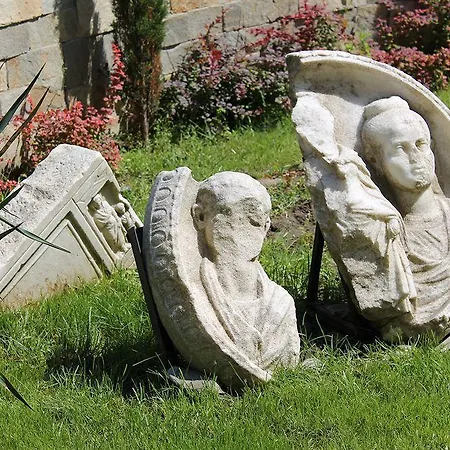 Helena Vip And Villa *