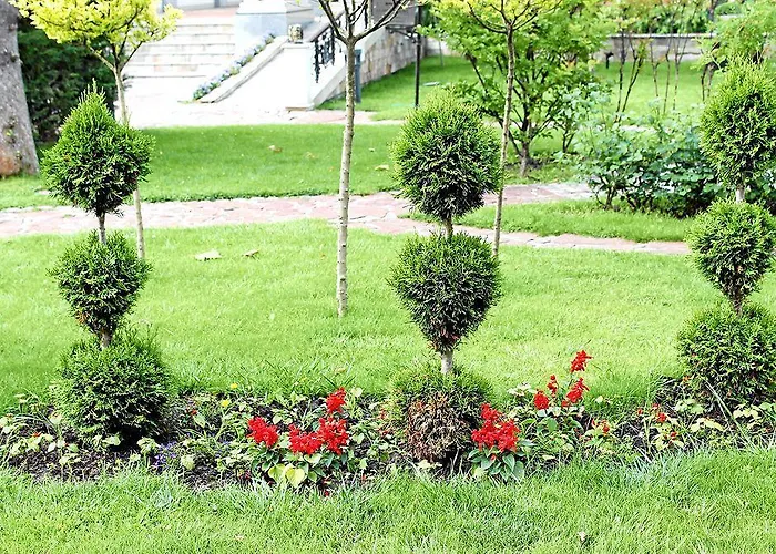 Helena Vip And Villa *